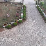 Viki * Lozovac