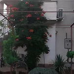 Viki Appartement Lozovac