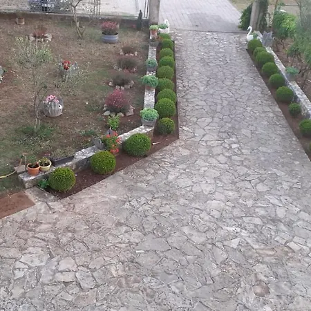 Viki * Lozovac