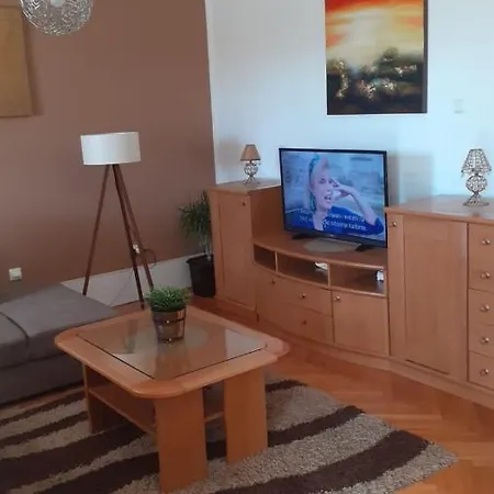 Apartment Viki