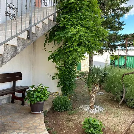 Apartment Viki *