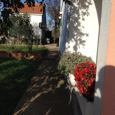 Appartement Viki *
