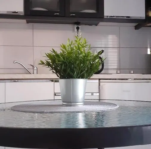 Viki Appartement Lozovac