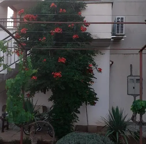 Viki Apartment Lozovac